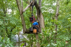 013_Earthworks-Outdoor-Inc-scaled