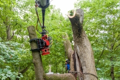 034_Earthworks-Outdoor-Inc-scaled