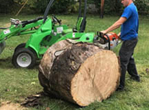 Fishers-Tree-Cutting-Service-smaller