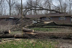 earthworks-outdoor_0000_emergency-tree-service