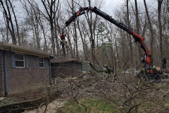 earthworks-outdoor_0001_emergency-tree-service-crane