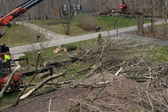 earthworks-outdoor_0002_emergency-tree-service-boom