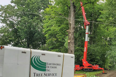 fishers-tree-services-