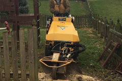residential-_0000_fishers-tree-stump-grinding