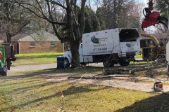 tree-removal-service-indianapolis