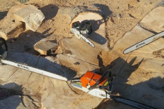 tree-service-email-chainsaws