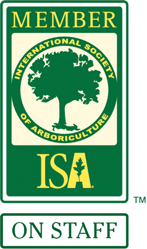 Certified Arborist Image