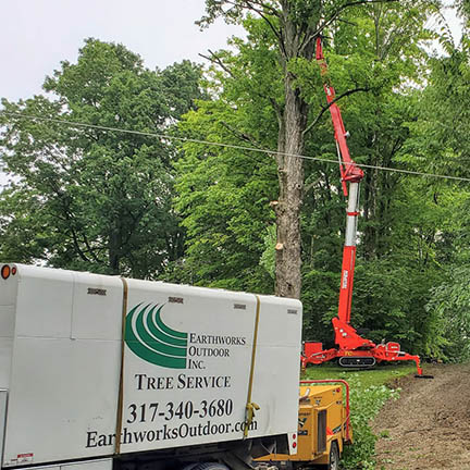 Tree Service Indianapolis Tree Service Indianapolis