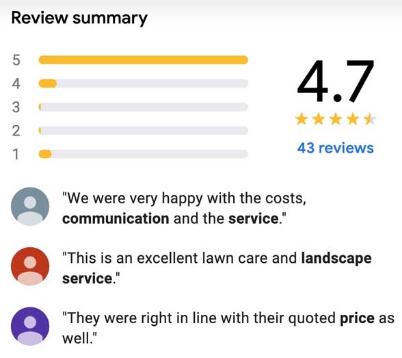 Tree Removal Review Google