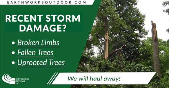 Indianapolis Tree Removal Storm Damage Image
